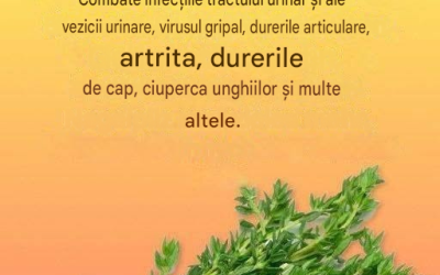 Un remediu natural pentru paraziți și infecții ale tractului urinar