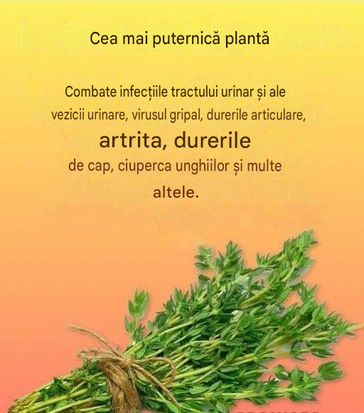 Un remediu natural pentru paraziți și infecții ale tractului urinar