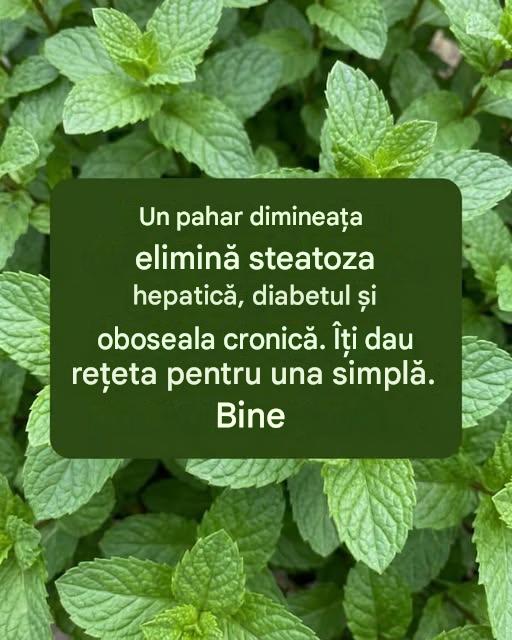 Doar un pahar dimineața elimină steatoza hepatică, diabetul și oboseala… Citește mai mult