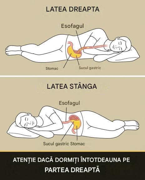 Rețineți că, dacă dormiți întotdeauna pe partea dreaptă, ar trebui să aveți… Vezi mai mult