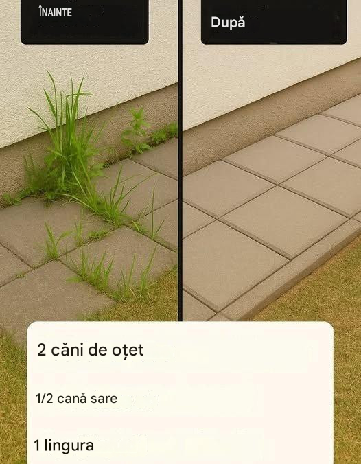 Cum să faci un erbicid de casă super eficient
