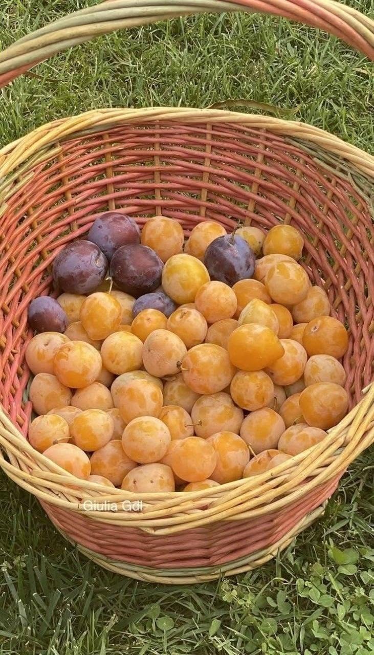 O mare abundență vine la tine acasă… Scrie AMIN și distribuie.