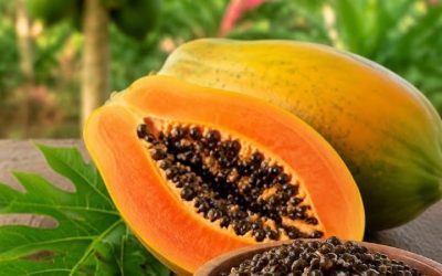 Beneficiile surprinzătoare ale semințelor de papaya: o bijuterie ascunsă a naturii