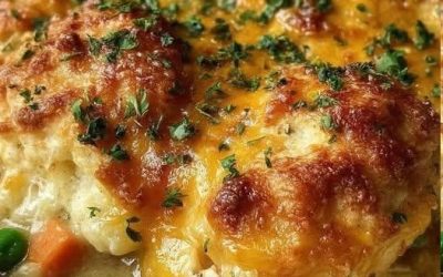 Plăcintă cu pui cu brânză Cheddar și ierburi de dafin