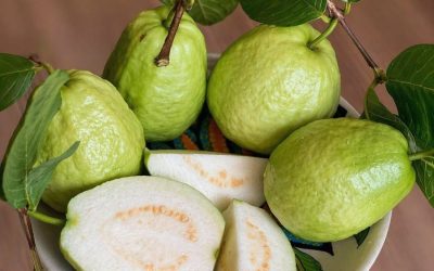 Medicii dezvăluie că consumul de guava provoacă…