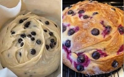 Pâine cu cremă de brânză și afine: O felie delicioasă de rai