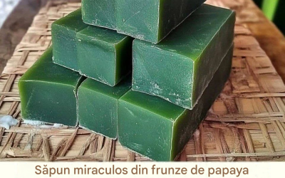 Săpun Miracle din frunze de papaya