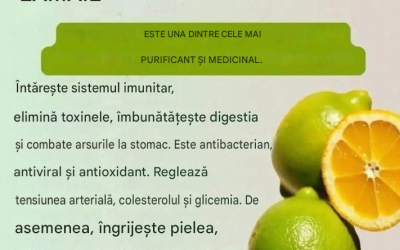10 beneficii ale lămâilor, proprietățile lor și cum să le consumi